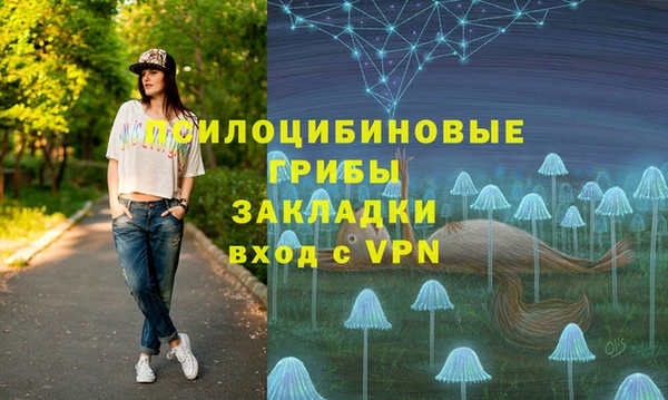 гидра Нея