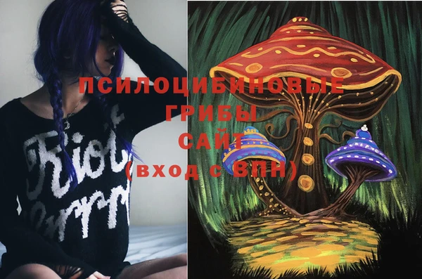 индика Нефтекумск