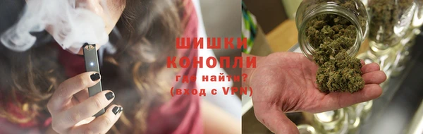 индика Нефтекумск