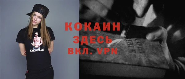 индика Нефтекумск