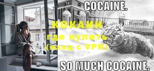 гидра Нея