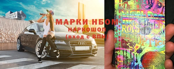 индика Нефтекумск