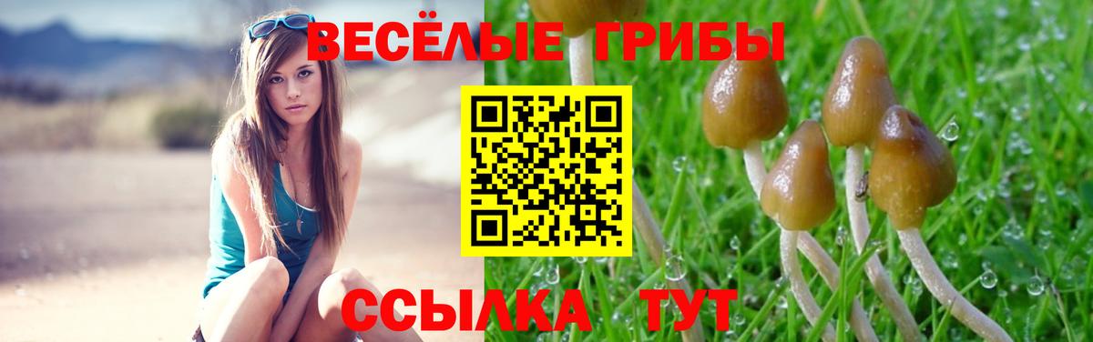 Псилоцибиновые грибы мицелий Симферополь